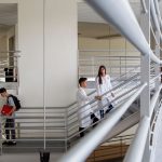 Charla. Males del sistema científico y su impacto en los estudios de doctorado