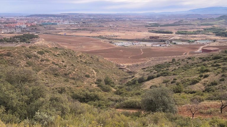 Trail running Logrono Oeste