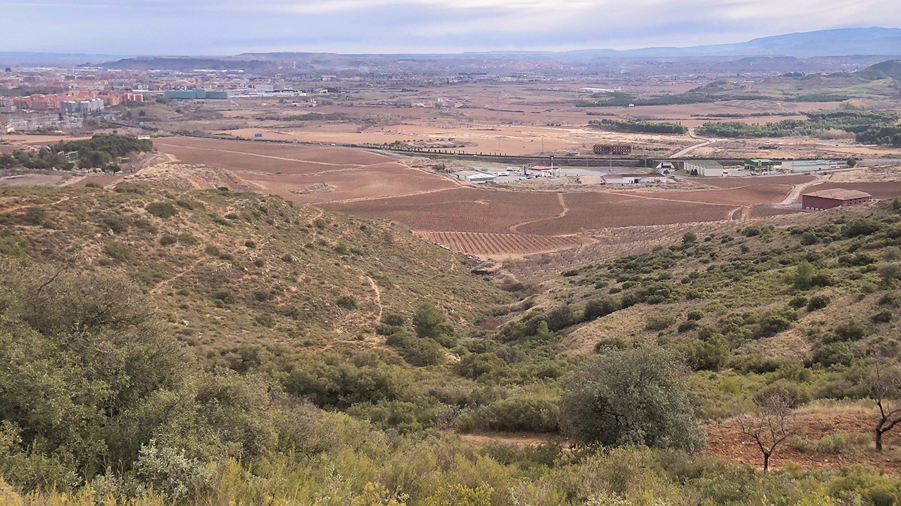 Trail running Logrono Oeste