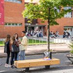 Promoción de la educación afectivo sexual
