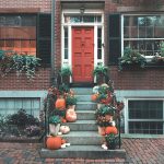 VIII International Seminar on Halloween (EFACIS Irish Itinerary 2024): Posthuman Intersections in Irish Literatures