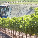 Seminario 'Uso de bases de datos de viticultores en estudios regionales. Ejemplos de aplicación en el sur de Francia'