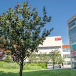 Seminario de Matemática Aplicada y Análisis Matemático: “Umbrales para medir singularidades”