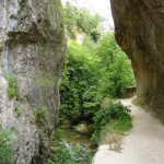 Senderismo. Desfiladero del río Purón