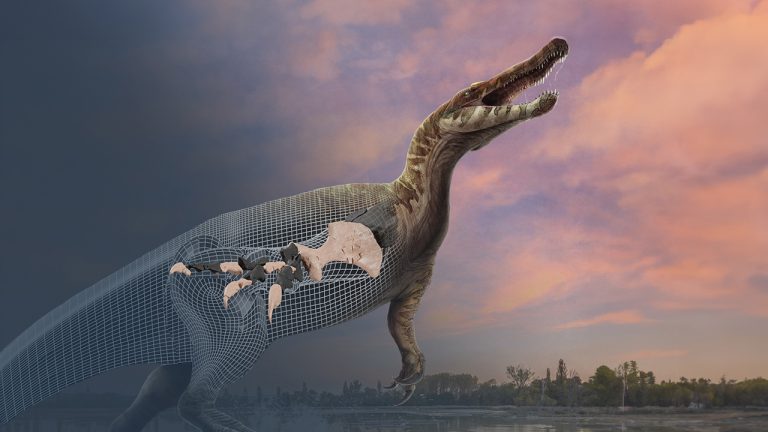 PALEOCOMP