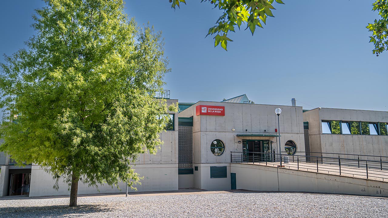 Dia Educacion Fisica
