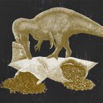 Café con el Dinosaurio: evolución de los trabajos científicos sobre huellas de dinosaurios en La Rioja con el Dr. Félix Pérez-Lorente