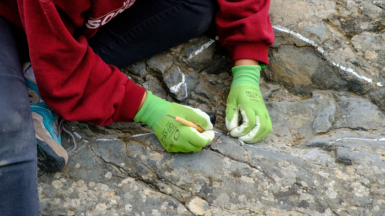 El equipo ‘Garras’ inicia una nueva excavación en Igea en busca de un gran dinosaurio ornitópodo del Cretácico