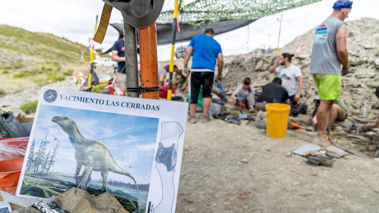 La campaña de excavaciones se centra en el yacimiento 'Las cerradas' de Igea