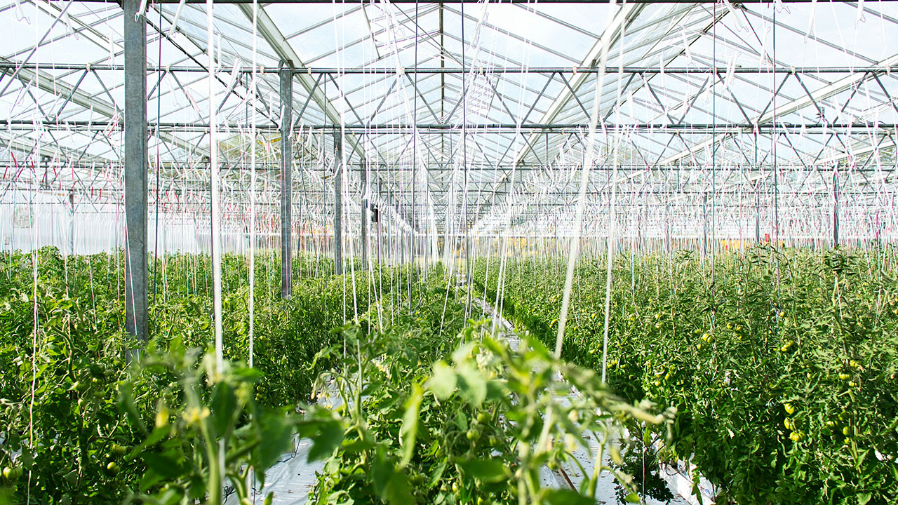 La UR liderará el Máster Universitario en Marketing y Emprendimiento Agroalimentario que impartirá junto con Campus Iberus