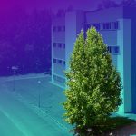 II Congreso Internacional Multilingüe de Escritura Creativa / 2nd International Multilingual Creative Writing Conference