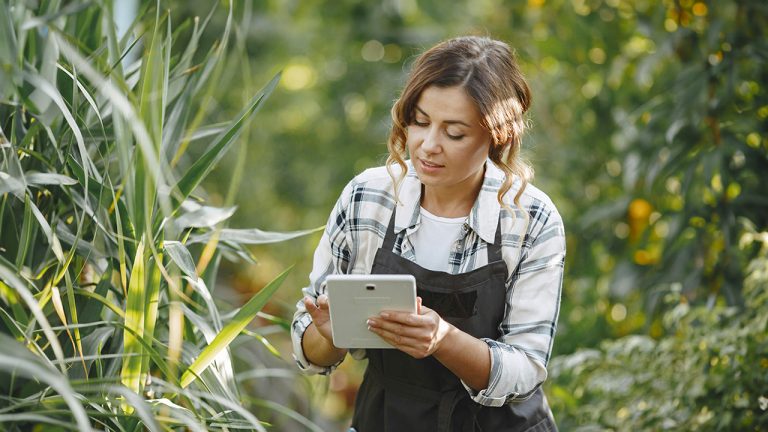 Transformacion digital en el sector agrícola