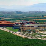Curso de verano. Briones y sus tesoros. Bodega y Museo Vivanco
