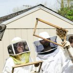 Seminario de Informática 'Mirian Andrés'. Inteligencia Artificial en apicultura