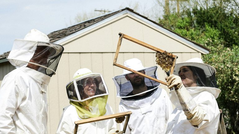 Seminario Mirian Andrés: Inteligencia artificial en apicultura