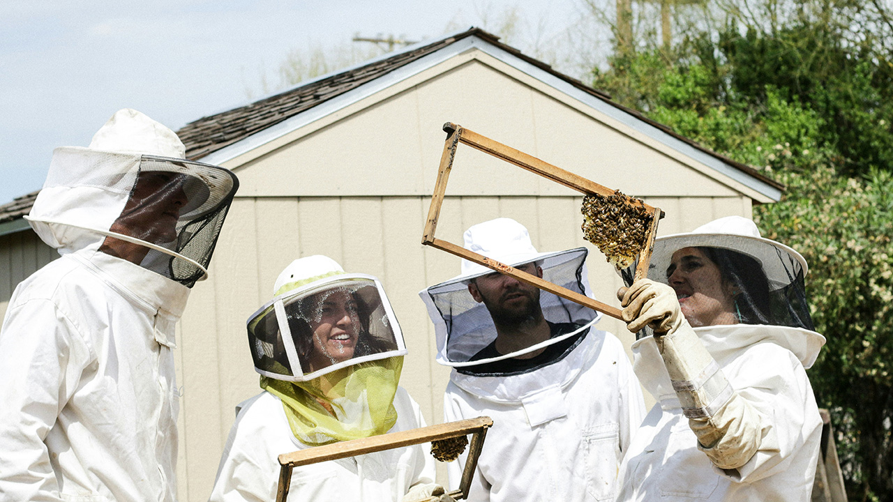 Seminario Mirian Andrés: Inteligencia artificial en apicultura