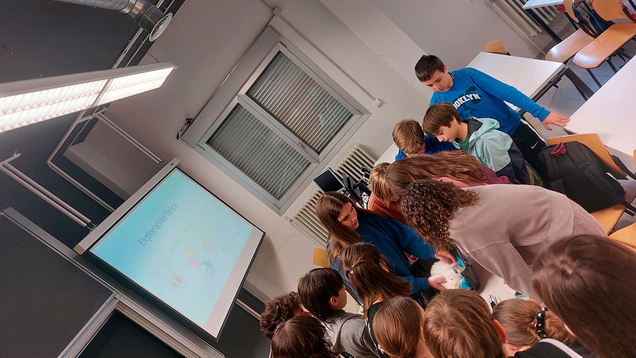 Un momento del taller VeteriTalents organizado dentro del programa UR Talent