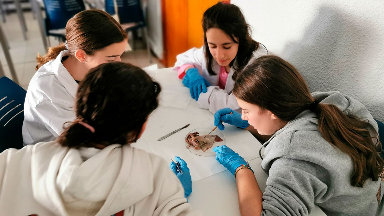 Estudiantes de UR Talent en una de las sesiones dedicadas a las ciencias del mar