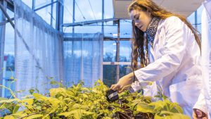 La agricultura sostenible protagoniza la primera microcredencial vinculada a EU-GIFT