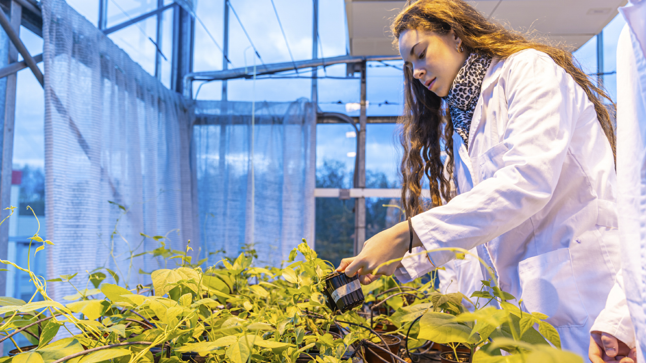 Siete nuevos títulos amplían el catálogo de microcredenciales de la Universidad de La Rioja