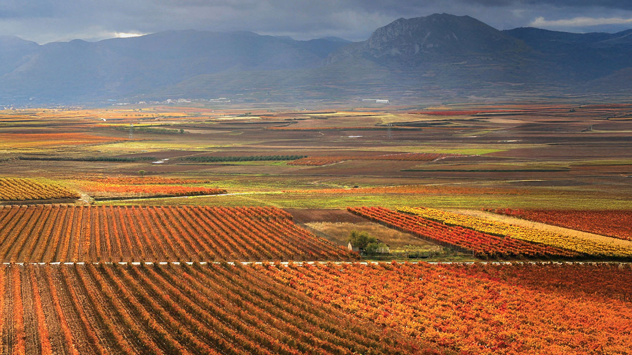 Tempranillo Garnacha