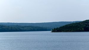 (© Foto de Shaueel Persadee en Unsplash)