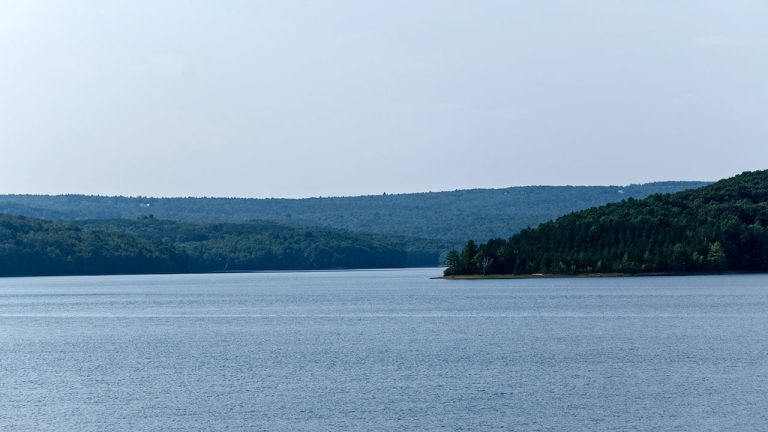 (© Foto de Shaueel Persadee en Unsplash)