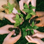 Jornada. La acción ecosocial ante una situación climática inédita