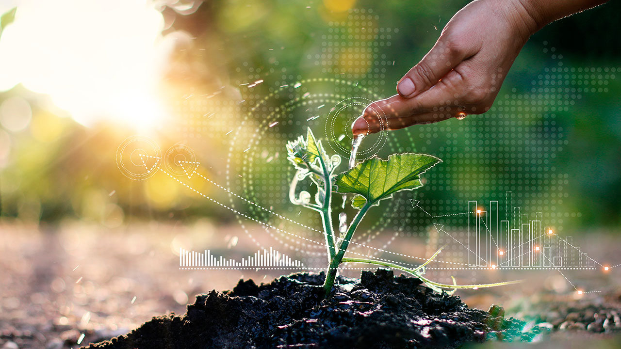 Máster en Marketing y Emprendimiento Agroalimentario