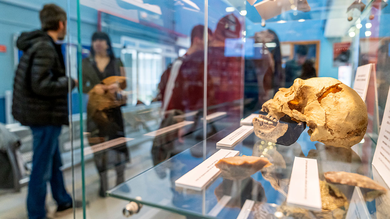 Exposición ‘Del aula al museo: un viaje espacio–temporal’ muestra el trabajo de musealización de fondos de la Prehistoria a la Edad Contemporánea