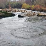Un instante que se extiende en la naturaleza (Estela Cabezón Tejeda. IES Cosme García)