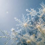 Seminario de Química Avanzada. Panče Naumov: 'Dynamic organic crystals'