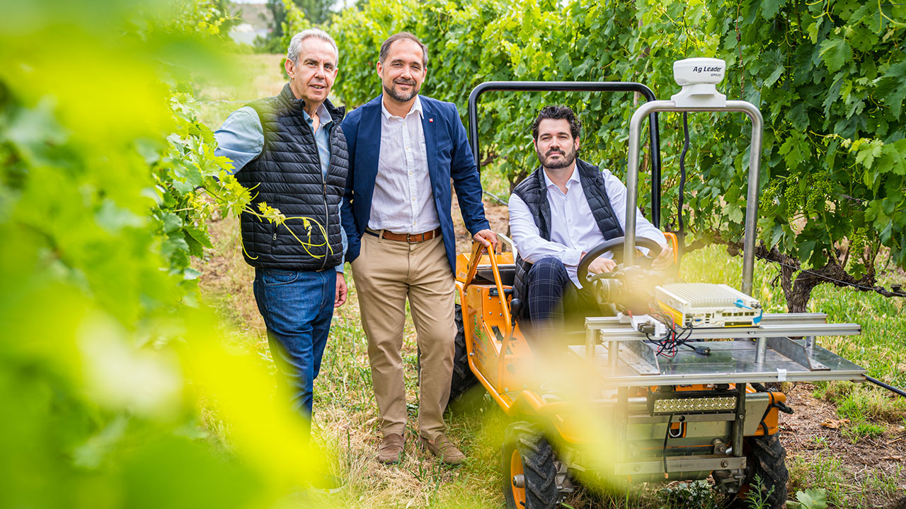 Rubén Íñiguez Mangado, en el viñedo del Campo de Experimentación Agrícola junto a su codirector de tesis Javier Tardáguila y el vicerrector de Política Científica, Eduardo Fonseca Pedrero