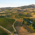 III Jornadas CIVA. Tendencias en Vino y Agroalimentación en el siglo XXI: retos y oportunidades