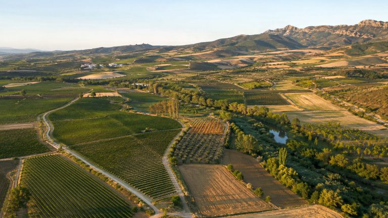 ornadas-CIVA-Tendencias-vino-Agroalimentacion-sXXI