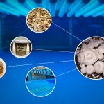 Revolución UV: Innovación para la salud, la sostenibilidad y el medio ambiente