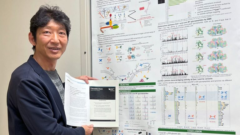 Integration of Glycopeptide Synthesis and Interaction Analysis via Microarrays. Prof. Hiroshi Hinou